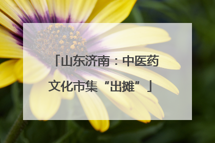 山东济南：中医药文化市集“出摊”